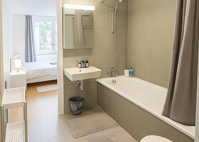 Montchoisi 1 Bedroom Near Gare Ouchy Smart Lock Appartamento Losanna